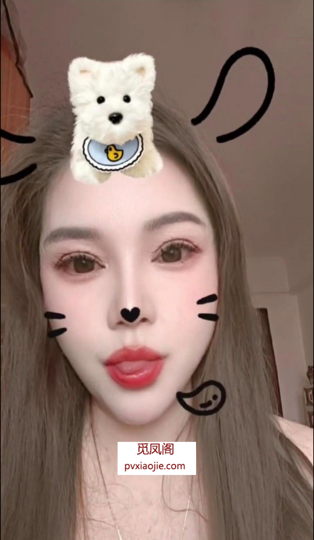 坦洲服务系大奶骚姐姐